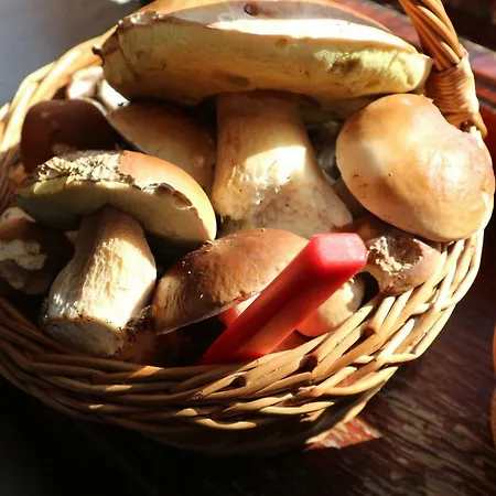 Homestay Dom Na Szlaku